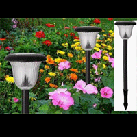 Garden Light