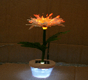 Garden Light